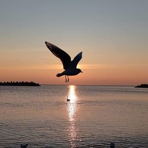 Meet your Posher, Timothy